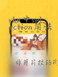 vba中selection用法