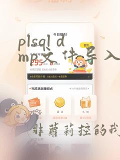 plsql dmp文件导入oracle数据库
