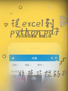 从excel到python pdf