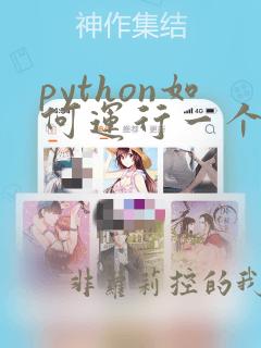 python如何运行一个python程序