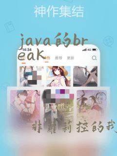 java的break