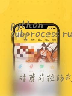 python subprocess run