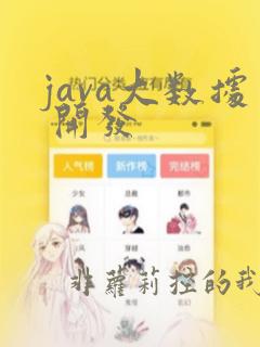 java大数据 开发