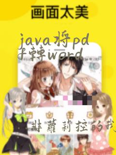 java将pdf转word