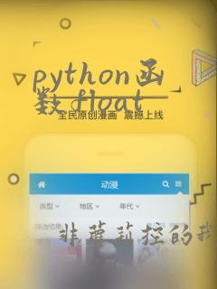 python函数float