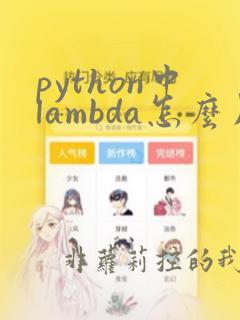 python中lambda怎么用