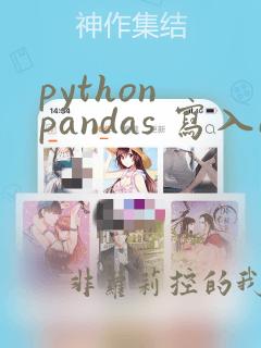 python pandas 写入excel