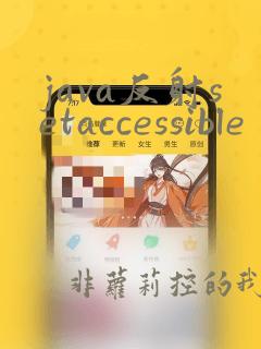 java反射setaccessible