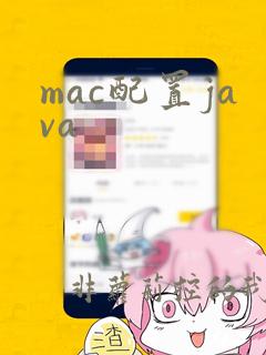 mac配置java