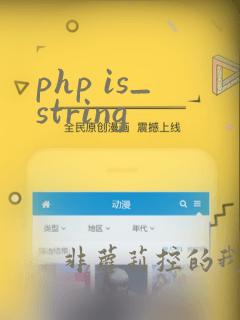 php is_string