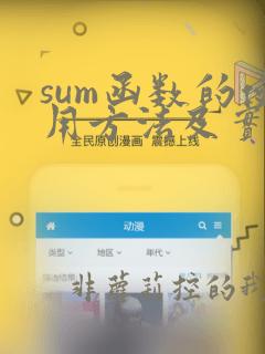 sum函数的使用方法及实例