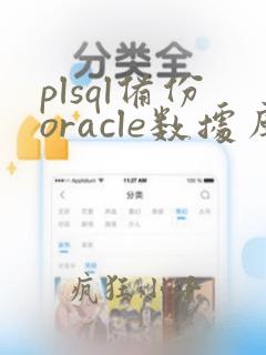 plsql备份oracle数据库dmp