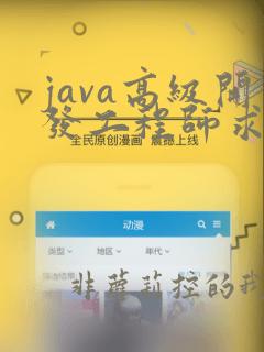 java高级开发工程师求职