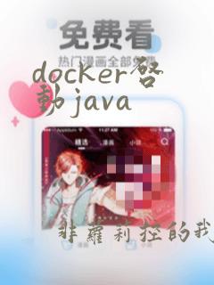 docker启动java