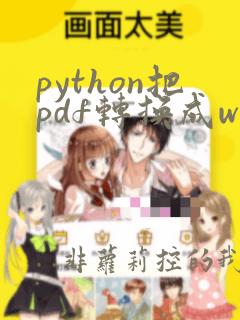 python把pdf转换成word