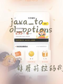 java_tool_options