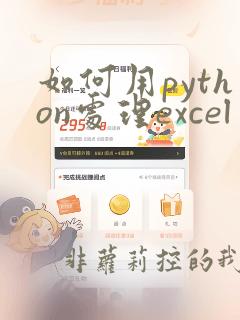 如何用python处理excel