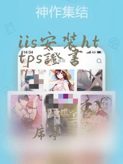 iis安装https证书