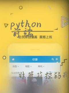 python 前端