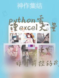 python处理excel大量数据慢