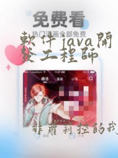 软件java开发工程师