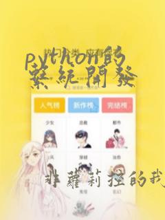 python的系统开发