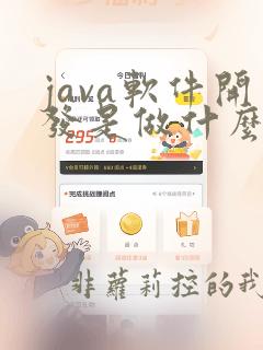 java软件开发是做什么