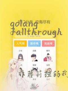 golang fallthrough