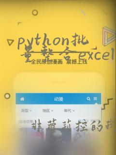 python批量整合excel并汇总