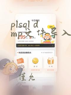 plsql dmp文件导入oracle数据库