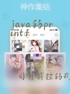 java的printf