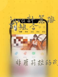 java计算排列组合