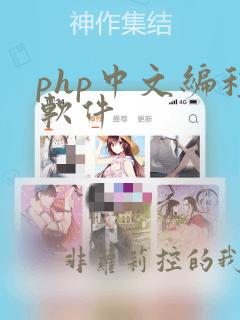 php中文编程软件
