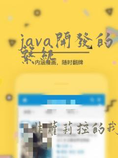 java开发的系统