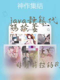 java静态代码检查