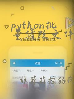 python批量修改文件名
