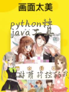 python转java工具