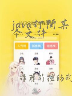 java打开某个文件