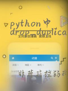 python中drop_duplicates