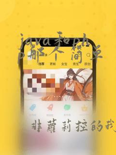 java和php那个简单