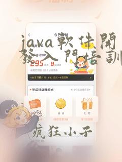 java软件开发入门培训