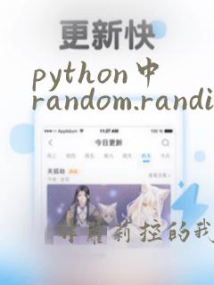 python中random.randint