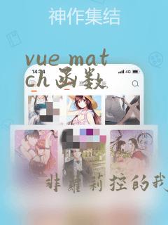 vue match函数