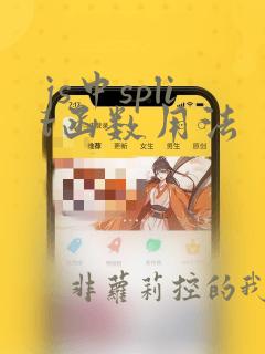 js中split函数用法