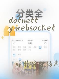 dotnetty websocket