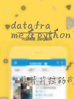 dataframe在python中的用法