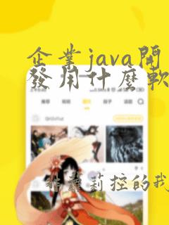 企业java开发用什么软件