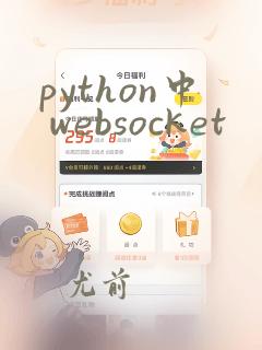 python中 websocket
