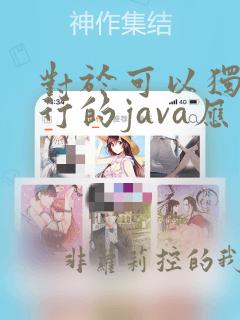对于可以独立运行的java应用程序