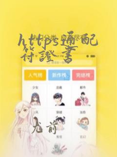 https通配符证书